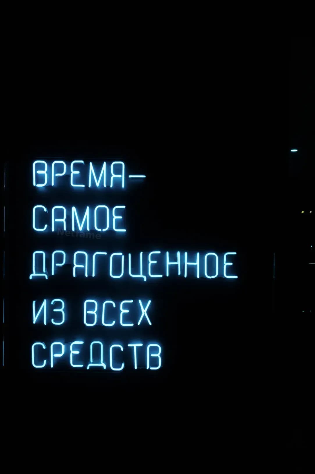 Netfame 13